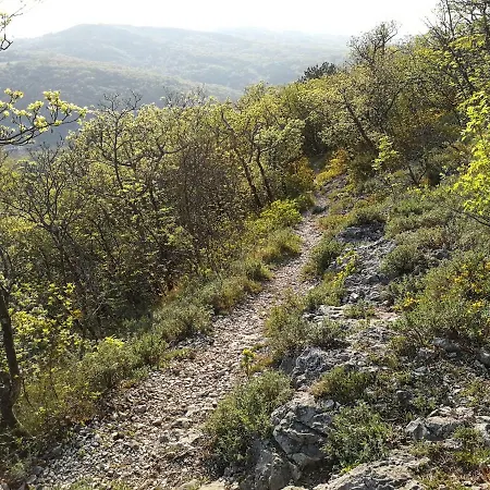 Apartma Kaja Apartma